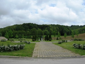 Dubravica