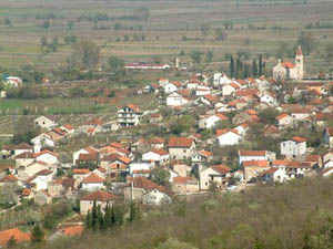 Runovići Runovići