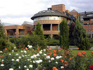 Bizovac Bizovac