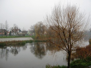 Cerna