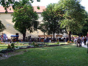 Sisak