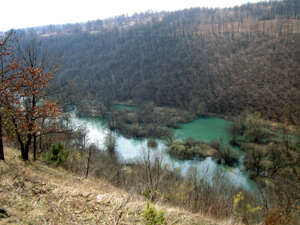 Tounj
