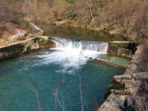 Jelenje
