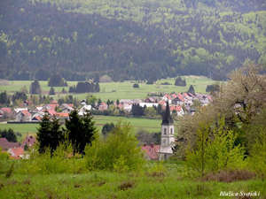 Ravna Gora