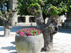 Gro�njan